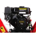 Triturador de rotor 7CV – 100 mm ELECTROPOWER - Image 6