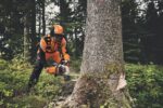 Motosserra a gasolina MS 400 C-M – Stihl MS400CM - Image 4
